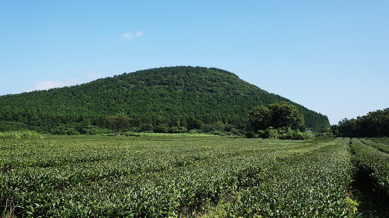 Jeju Island
